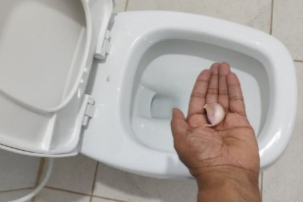 Usar alho no vaso sanitario