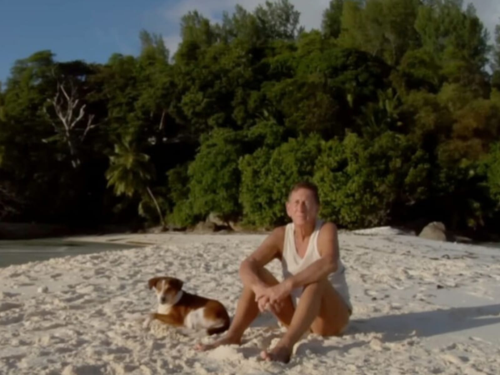 Homem rejeita fortuna bilionária, compra ilha deserta e a transforma com 16 mil árvores