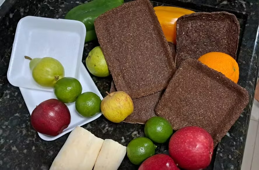 Adeus, isopor: estudante cria solução eficaz que se torna aposta no Brasil 