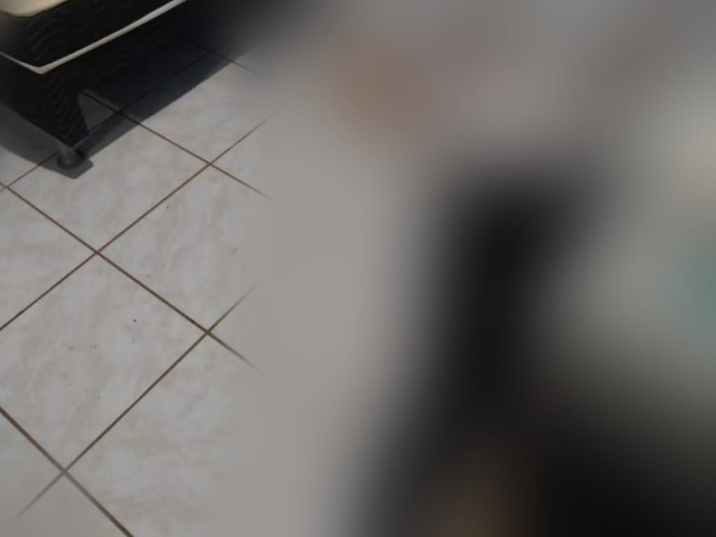 Homem mata companheira a facadas e tira a própria vida em Cristalina