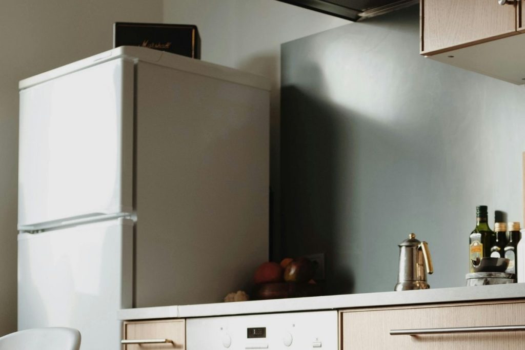 Não é por decoração: o que significa colocar planta em cima da geladeira, segundo o feng shui