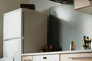 Não é por decoração: o que significa colocar planta em cima da geladeira, segundo o feng shui