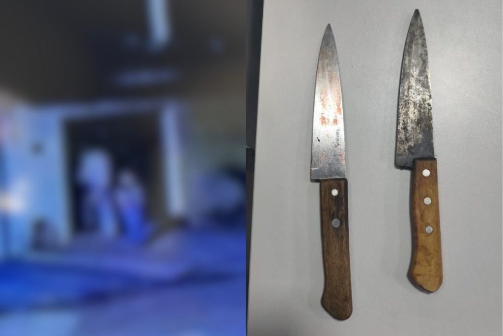 Filha é presa suspeita de matar a própria mãe com múltiplas facadas em Goiás