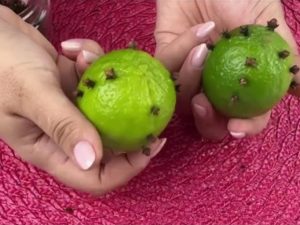 Cravo-da-índia com limão: por que essa mistura virou queridinha