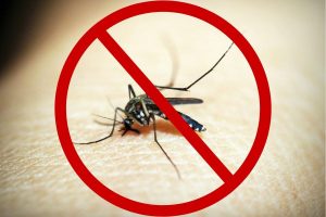 Repelente caseiro: misturinha simples e poderosa ajuda a afastar mosquitos gastando pouco de forma fácil e rápida