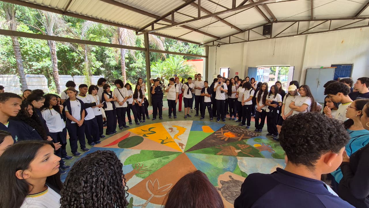 Sementes do Cerrado e o sentido da educação ambiental