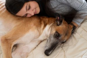 PESSOAS QUE DORMEM COM ANIMAIS DE ESTIMAÇÃO NA CAMA