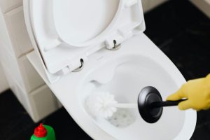 limpeza do vaso sanitário