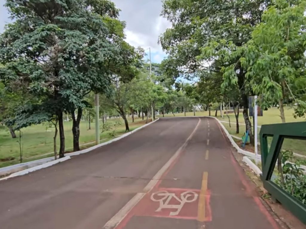 Capital do Brasil vira referência mundial com 91% das ruas cobertas por árvores