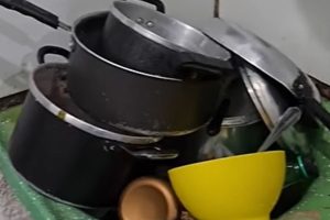 PESSOAS QUE DEIXAM A LOUÇA ACUMULAR