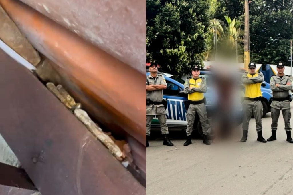 PM encontra drogas escondidas em local inusitado e prende traficante em Pirenópolis