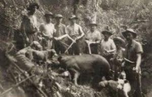 Anta reaparece no Rio após mais de 100 anos