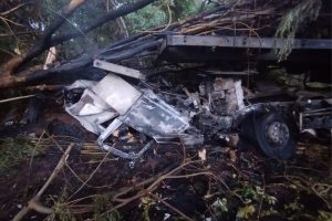 Caminhão sai da pista, pega fogo e duas pessoas morrem na BR-153