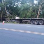 Caminhão sai da pista, pega fogo e duas pessoas morrem na BR-153