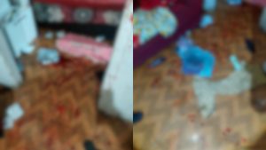 Casa ficou ensanguentada após esposa tentar matar marido a facadas.