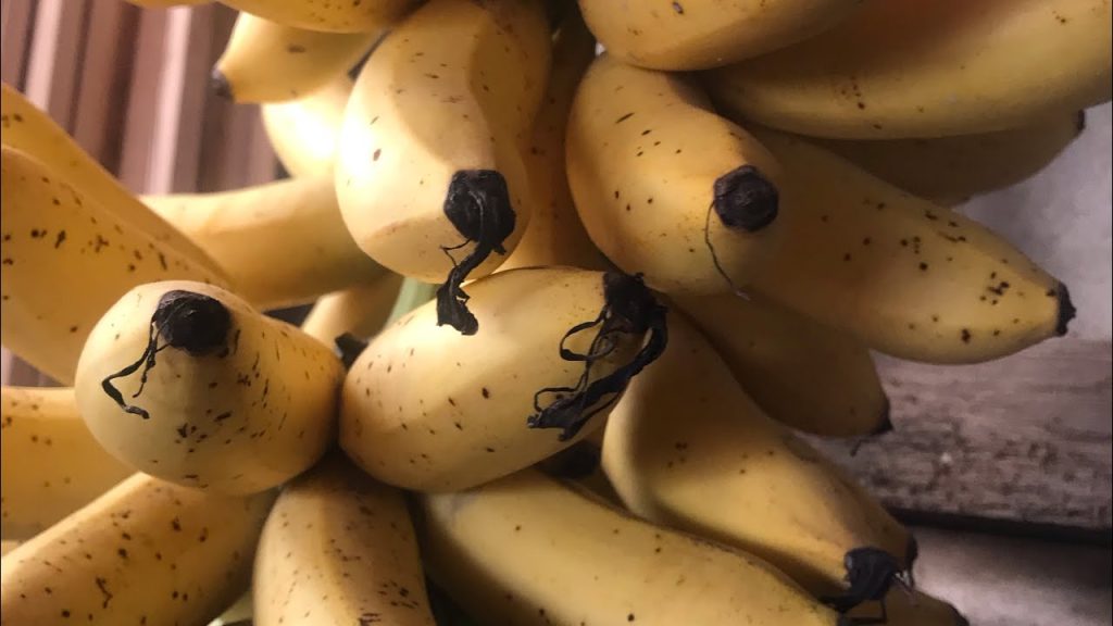 Descubra o melhor lugar para guardar bananas e evitar que apodreçam rápido. Veja dicas práticas para manter a fruta fresca por mais tempo.