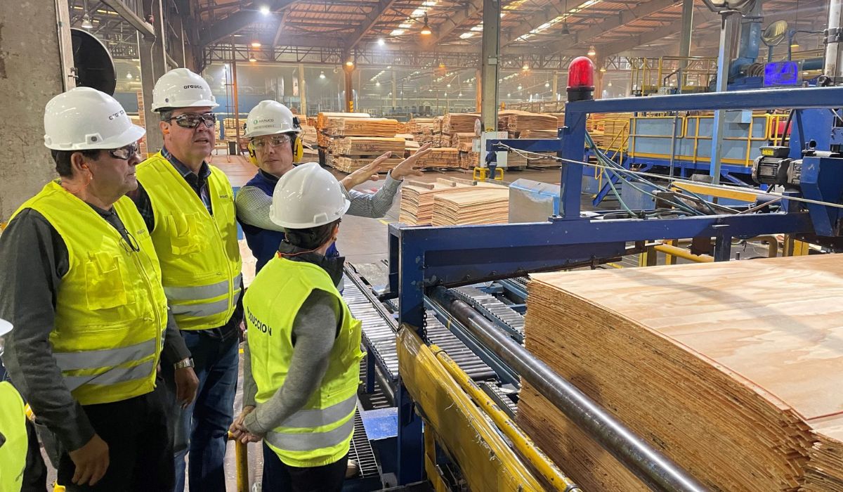 Inocência (MS) vai receber a maior fábrica de celulose do mundo, com investimento de R$ 25 bilhões, ferrovia própria e geração de milhares de empregos.