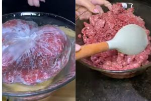 descongelar a carne moída
