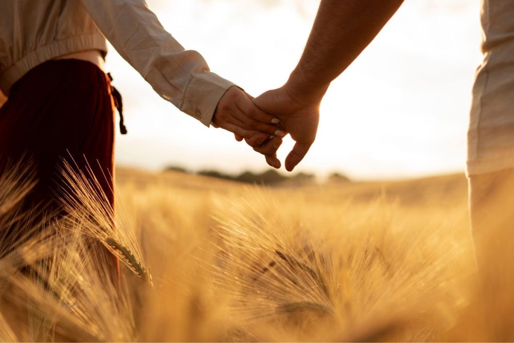 signos que vão encontrar a alma gêmea