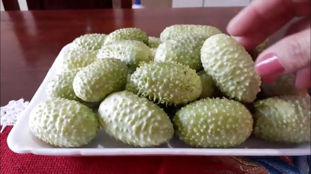 O vegetal pouco lembrado e muito nutritivo: conheça os benefícios do maxixe na alimentação