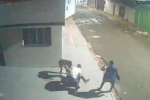 Câmera de segurança flagra cena de violência em Rio Verde