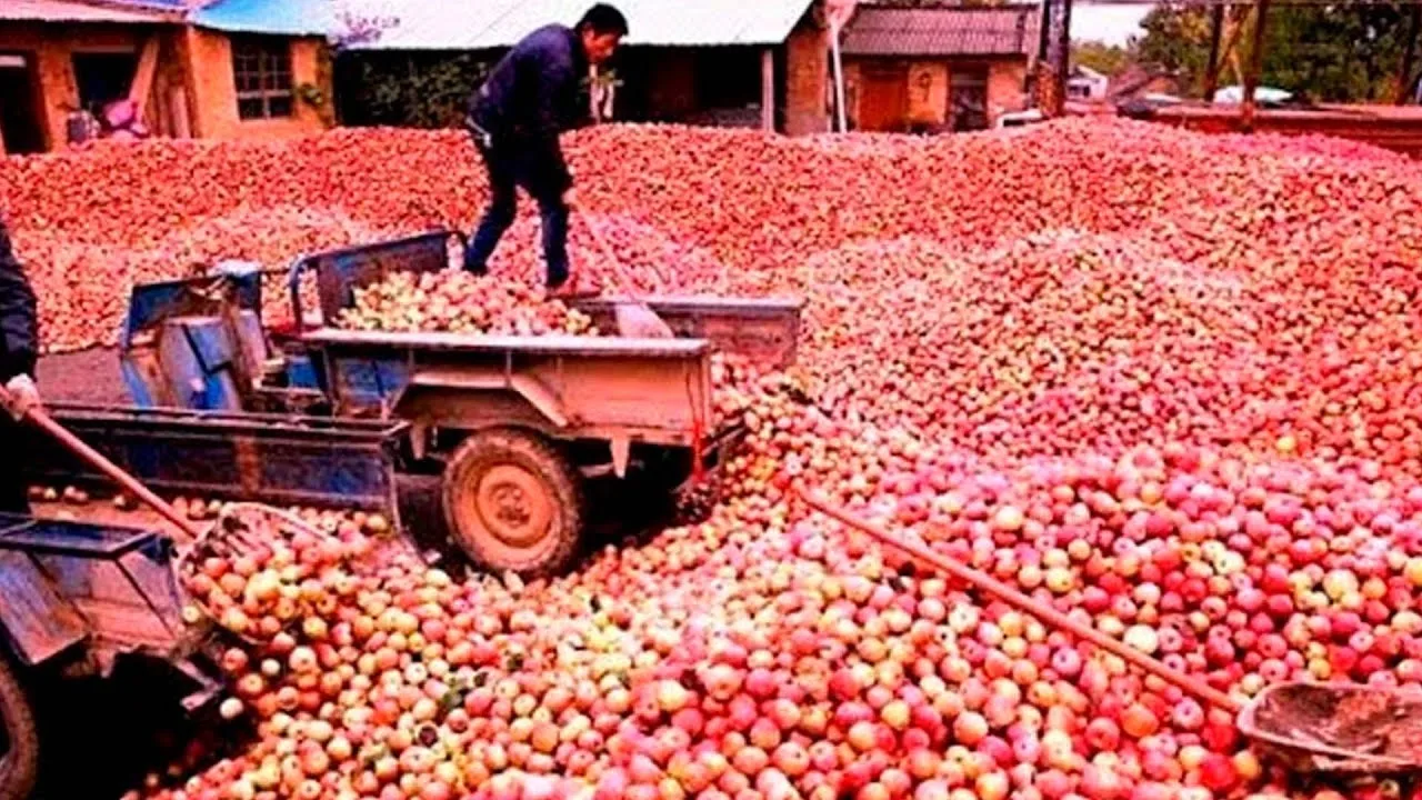 Brasil concentra as maiores fazendas de frutas do mundo, com produção milionária, tecnologia avançada e impacto direto no mercado global