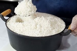 forma correta de fazer arroz