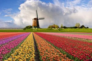 Cidade mais feliz do Brasil