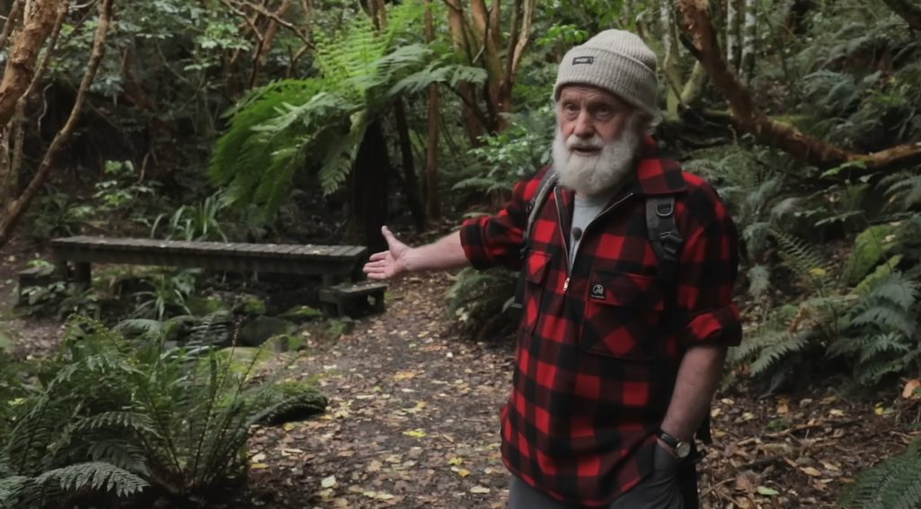 homem deixou “ervas daninhas” crescerem e transformou fazenda em floresta