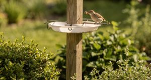 O truque do prato invertido que acaba de vez com as formigas no comedouro dos passarinhos