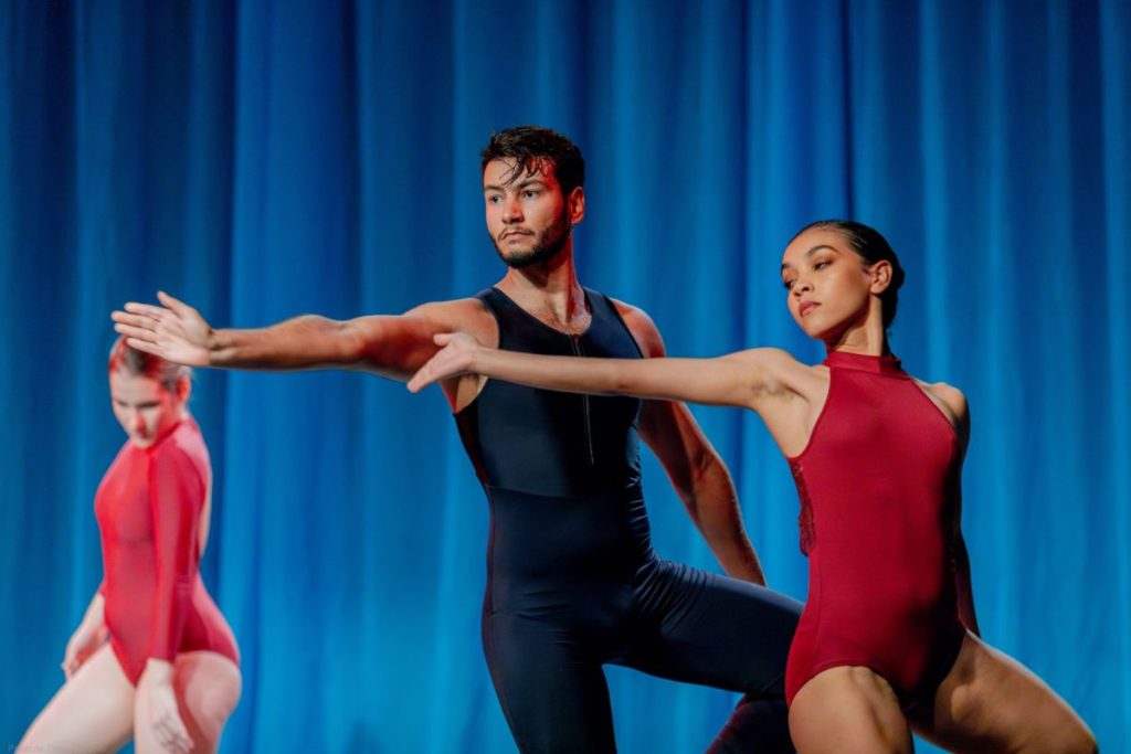 bolsas para artistas de Anápolis