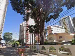 Mogno esteve consistente em meio a diversas mudanças na capital. (Foto: Google Street View)