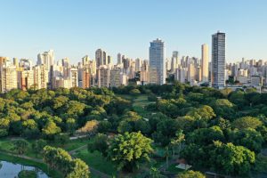 Cidade brasileira com mais de 1 milhão de árvores conquista título de mais arborizada do mundo