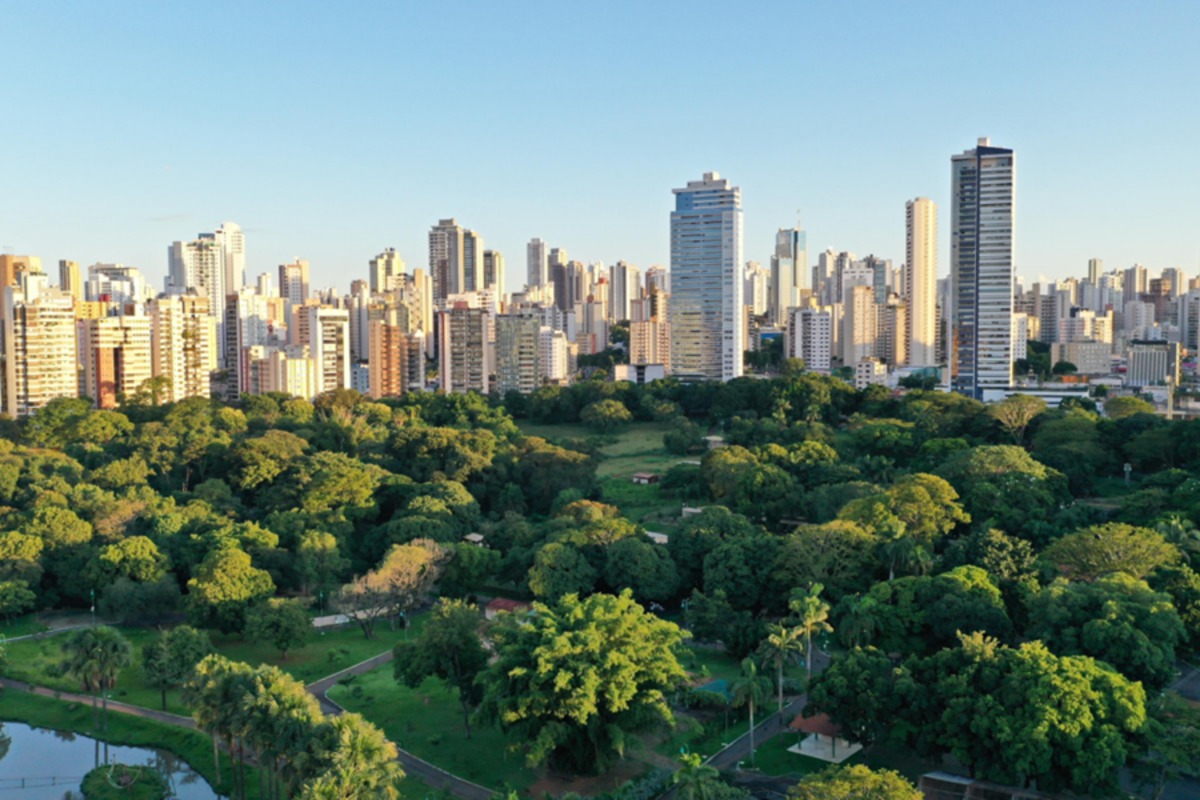 Cidade brasileira com mais de 1 milhão de árvores conquista título de mais arborizada do mundo