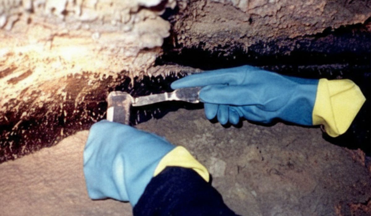 Bactéria congelada há 5 mil anos e resistente a 10 antibióticos intriga cientistas