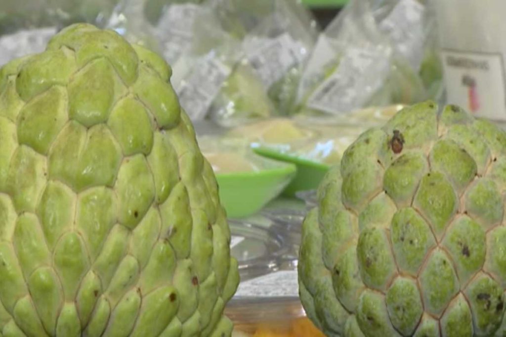 A fruta pouco conhecida, de sabor marcante