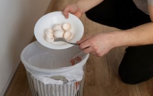 Saiba por que reutilizar casca de ovo em casa pode ajudar na limpeza, jardinagem e redução de odores com soluções práticas e sustentáveis.