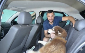 Lei já está em vigor e prevê multa por transportar cachorro ou gato no carro de forma irregular, com penalidades, pontos na CNH e valor de até R$ 195,23.