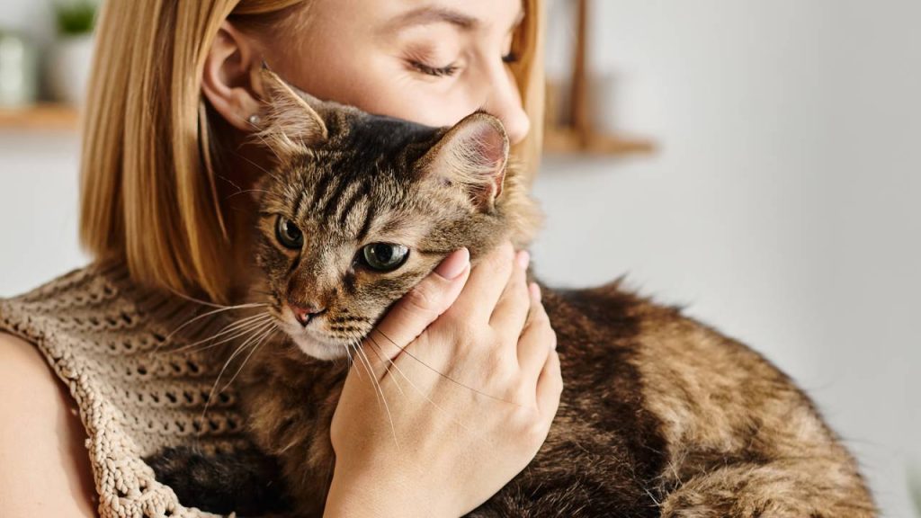 Como os gatos escolhem o seu “humano preferido”, segundo a ciência