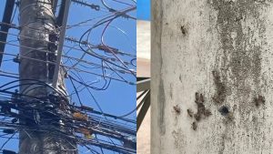 Colmeia de abelhas presa em poste preocupa moradores.