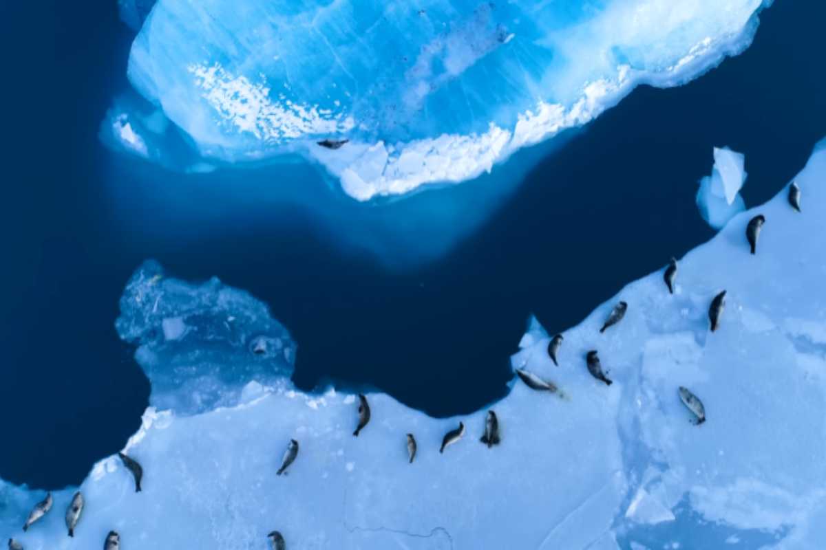 O lugar mais seco do planeta quase não vê chuva há séculos