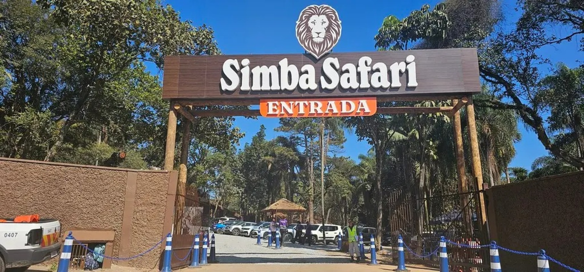 O safári brasileiro que ficou fechado por duas décadas abre as portas trazendo experiência imersiva entre os animais da selva