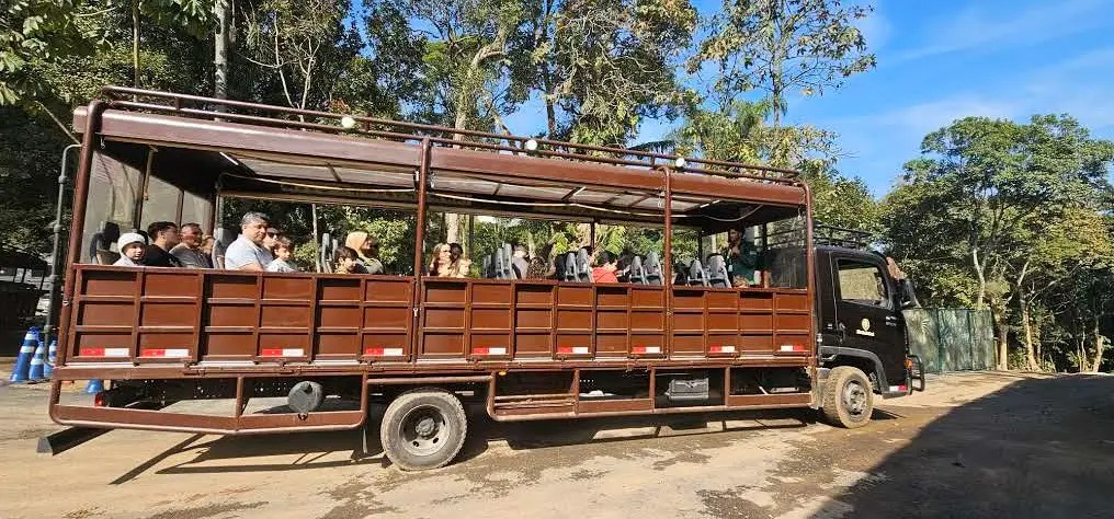 O safári brasileiro que ficou fechado por duas décadas abre as portas trazendo experiência imersiva entre os animais da selva