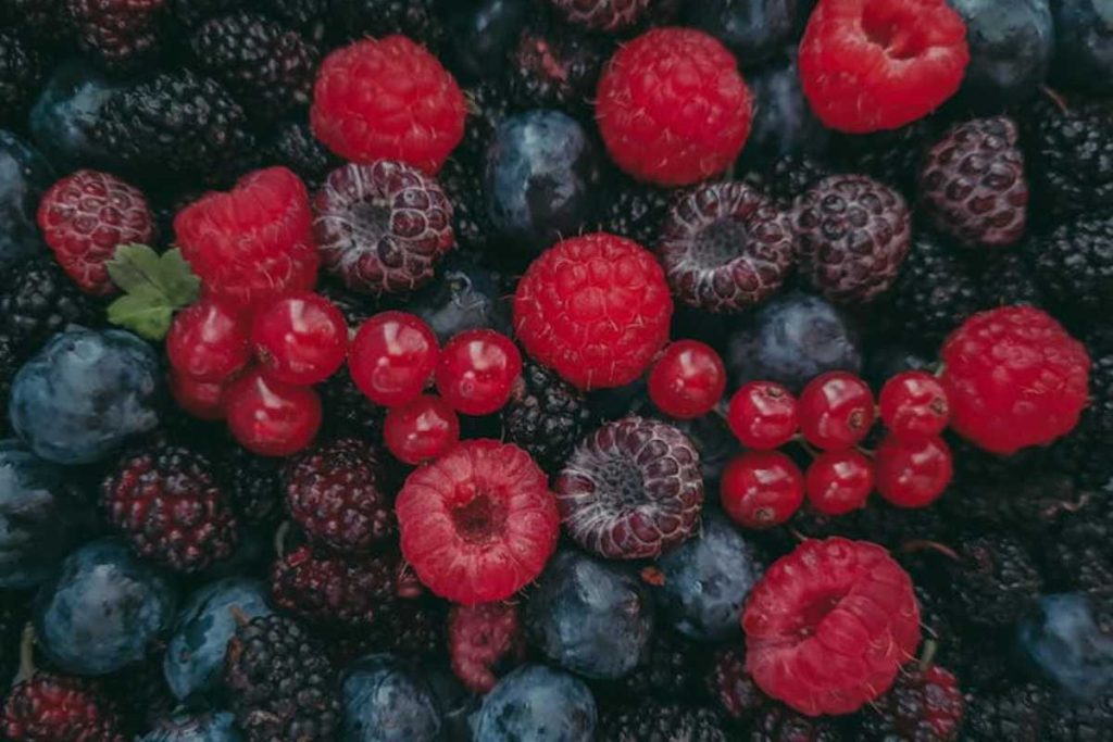 O alimento simples que ajuda na memória depois dos 60 anos