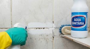 Nunca limpe mofo com água sanitária: combinação é uma das mais tóxicas já conhecida