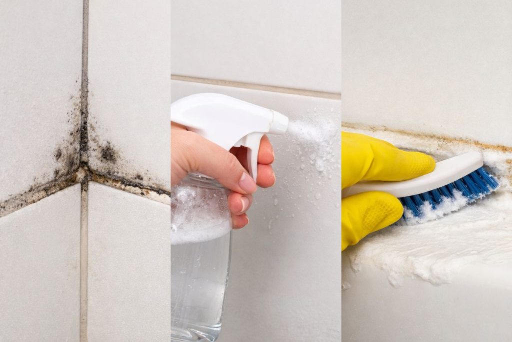 Adeus mofo no banheiro