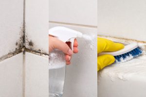 Adeus mofo no banheiro