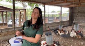 Do apartamento apertado em Ribeirão Preto à vida na roça: hoje ela vive da terra e colhe o próprio sustento