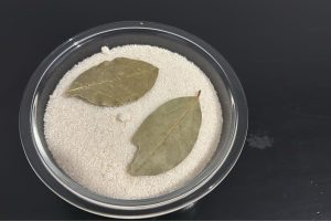 Truque da folha de louro no açúcar