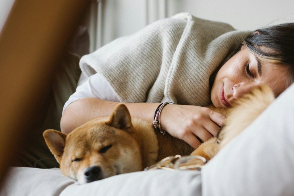 dormir com os pets na mesma cama